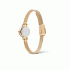 Daniel Wellington Petite Mini Evergold DW00100745